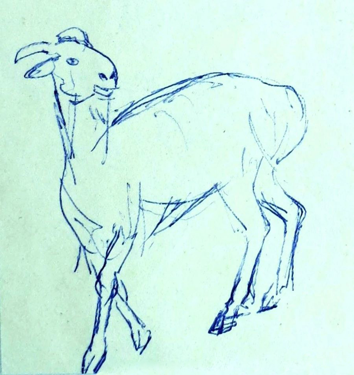 微信圖片_20200303154046.jpg